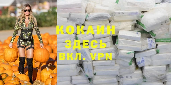 дживик Белоозёрский