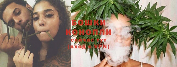 дживик Белоозёрский