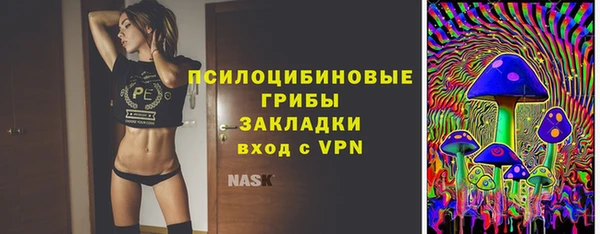 дживик Белоозёрский